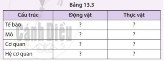 Lấy ví dụ về tế bào, mô, cơ quan, hệ cơ quan trong cơ thể động vật và thực vật