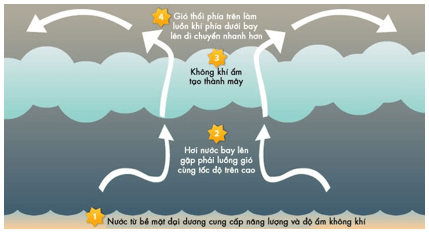 Lý thuyết Khoa học tự nhiên 6 Bài 1: Giới thiệu về khoa học tự nhiên | Cánh diều