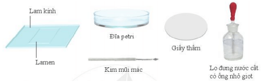 Lý thuyết Khoa học tự nhiên 6 Bài 12: Tế bào – Đơn vị cơ sở của sự sống