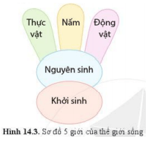 Lý thuyết Khoa học tự nhiên 6 Bài 14: Phân loại thế giới sống