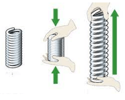 Lý thuyết Khoa học tự nhiên 6 Bài 30: Các dạng năng lượng