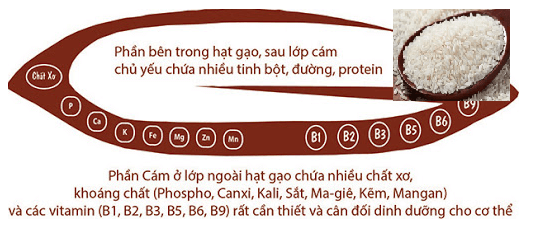 Lý thuyết Khoa học tự nhiên 6 Bài 5: Sự đa dạng của chất | Cánh diều