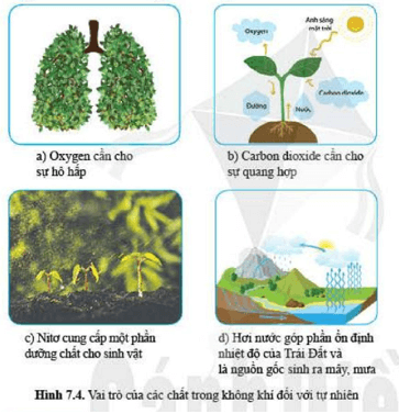 Lý thuyết Khoa học tự nhiên 6 Bài 7: Oxygen và không khí | Cánh diều