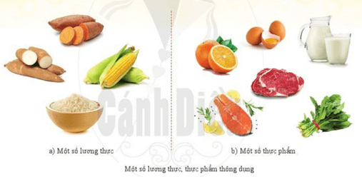 Một số lương thực – thực phẩm thông dụng