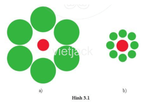 Nhìn vào hình 3.1, liệu em có thể khẳng định được hình tròn màu đỏ