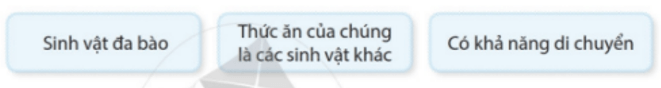 Những đặc điểm nào sau đây của động vật giúp em phân biệt được động vật với thực vật