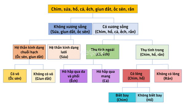 Xây dựng khóa lưỡng phân để nhận biết các động vật trong hình dưới đây