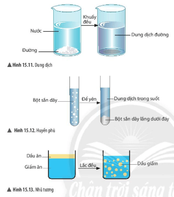 Tính chất động lực học của Nhũ tương