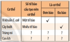 Bài 19: Cơ thể đơn bào và cơ thể đa bào