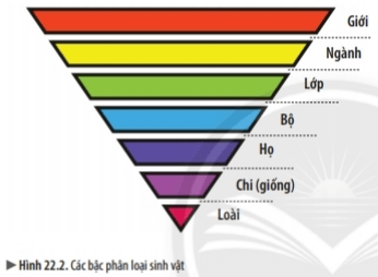 Bài 22: Phân loại thế giới sống