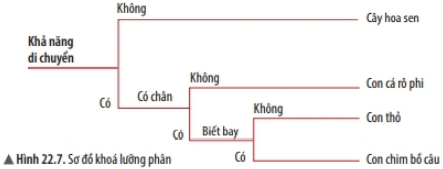 Bài 22: Phân loại thế giới sống