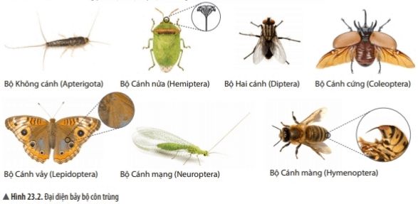 Bài 23: Thực hành xây dựng khóa lưỡng phân