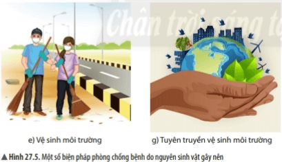 Bài 27: Nguyên sinh vật