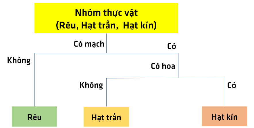 Bài 30: Thực hành phân loại thực vật