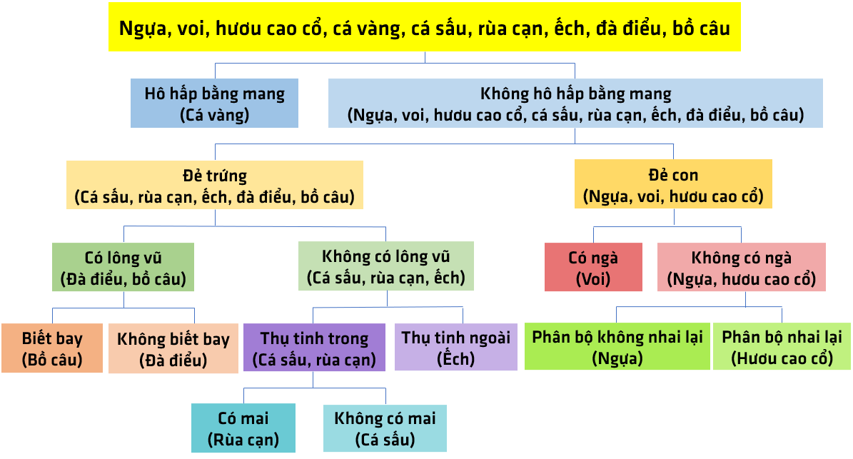 Bài 32: Thực hành quan sát và phân loại thực vật ngoài thiên nhiên