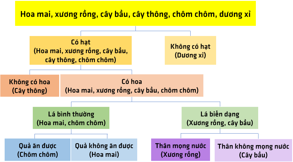 Bài 34: Tìm hiểu sinh vật ngoài thiên nhiên