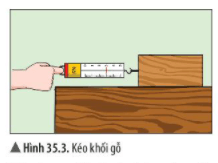 Bài 35: Lực và biểu diễn lực