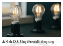 Bài 42: Bảo toàn năng lượng và sử dụng năng lượng