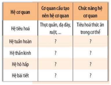 Điều gì sẽ xảy ra nếu cây cà chua bị mất đi hệ rễ