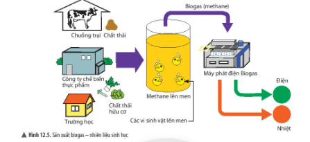 Lý thuyết Khoa học tự nhiên 6 Bài 12: Nhiên liệu và an ninh năng lượng