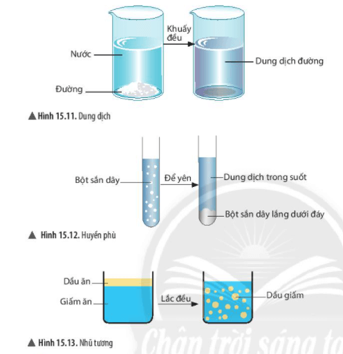 Lý thuyết Khoa học tự nhiên 6 Bài 15: Chất tinh khiết – hỗn hợp