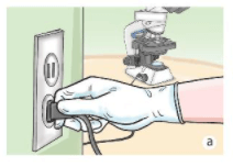 Lý thuyết Khoa học tự nhiên 6 Bài 3: Quy định an toàn trong phòng thực hành. Giới thiệu một số dụng cụ đo sử dụng kính lúp và kính hiển vi quang học