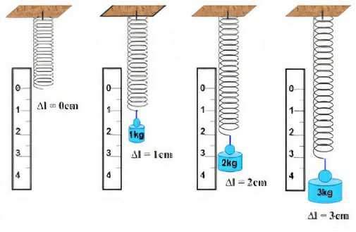 Lý thuyết Khoa học tự nhiên 6 Bài 39: Biến dạng của lò xo. Phép đo lực