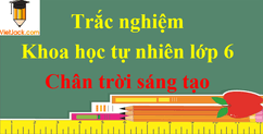 Bài tập trắc nghiệm Khoa học tự nhiên lớp 6 | Chân trời sáng tạo