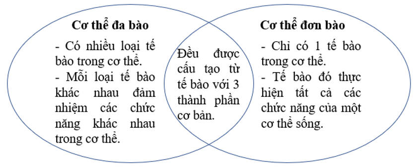 Vẽ lại hình bên và hoàn thành các yêu cầu: trang 93 SGK Khoa học tự nhiên lớp 6 - Chân trời