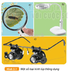 Lựa chọn loại kính lúp trong hình 3.1 để thực hiện các công việc sau