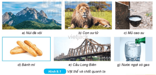 Quan sát Hình 9.1, cho biết đâu là vật thể tự nhiên, vật thể nhân tạo, vật không sống và vật sống