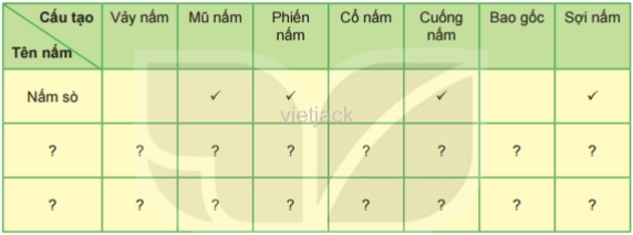 Dựa trên kết quả quan sát các thành phần cấu tạo của mỗi mẫu nấm đã chuẩn bị