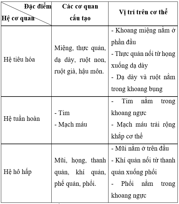 Dựa vào kết quả quan sát mô hình hoặc tranh, ảnh một số hệ cơ quan trong cơ thể người