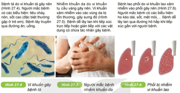 Dựa vào các thông tin trên, em hãy nêu một số biện pháp để phòng bệnh do vi khuẩn