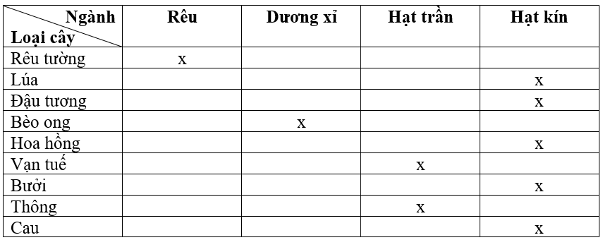 Thảo luận nhóm và hoàn thành các yêu cầu sau