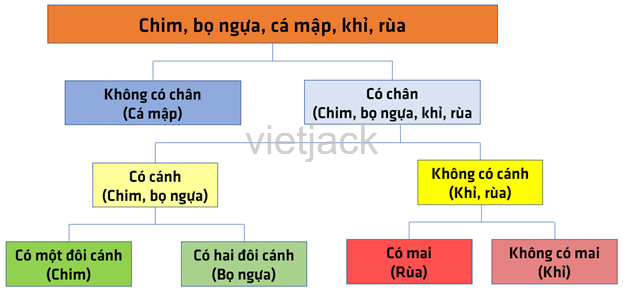 Cho các loài sinh vật như hình dưới đây. Hãy tiến hành xây dựng khóa lưỡng phân