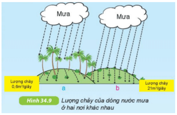 Quan sát hình 34.9, so sánh lượng chảy của dòng nước mưa trên mặt đất ở nơi có rừng