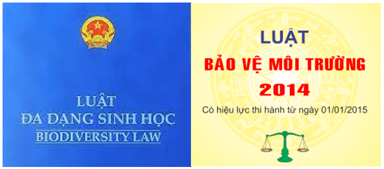 Thực hành tuyên truyền và thực hiện các Luật Bảo vệ môi trường, Luật Đa dạng sinh học