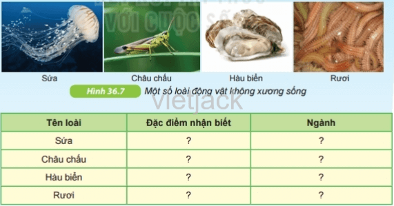 Dựa vào câu trả lời ở câu 1, hãy quan sát hình 36.7 và hoàn thành bảng theo mẫu sau vào vở