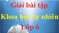 Khoa học tự nhiên lớp 6 | Giải bài tập Khoa học tự nhiên 6 sách mới đầy đủ