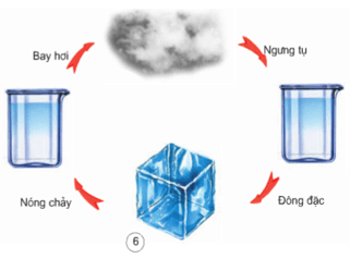 Các thể của chất và sự chuyển thể