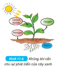 Oxygen. Không khí