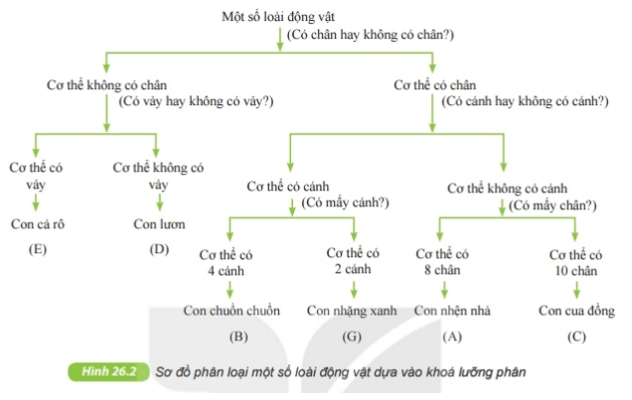 Khóa lưỡng phân | Kết nối tri thức