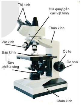 Sử dụng kính hiển vi quang học