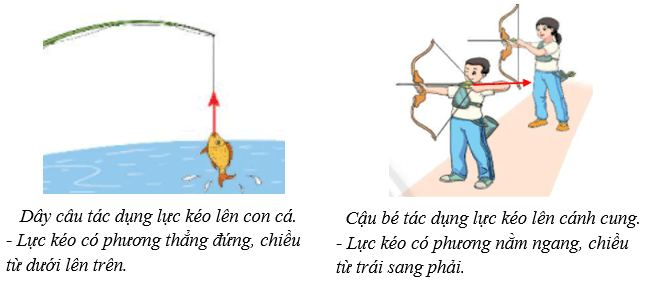 Biểu diễn lực