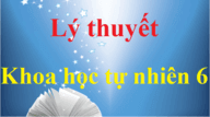 Lý thuyết Khoa học tự nhiên lớp 6 chi tiết | Kết nối tri thức