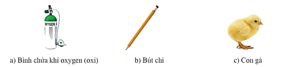 Trắc nghiệm KHTN 6 Kết nối tri thức Bài 9 (có đáp án): Sự đa dạng của chất