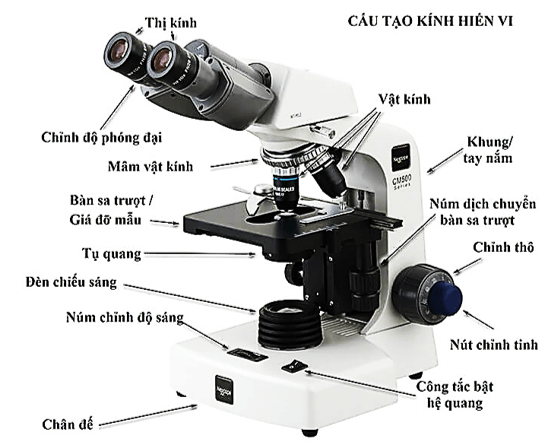 Các bộ phận của kính hiển vi | Khoa học tự nhiên lớp 6 (ảnh 1)