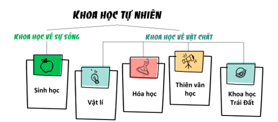 Các lĩnh vực chủ yếu của khoa học tự nhiên? | Khoa học tự nhiên lớp 6 (ảnh 1)