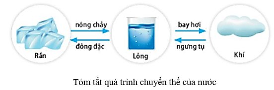 Các thể của nước là | Khoa học tự nhiên lớp 6